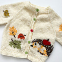 Load image into Gallery viewer, Autumnal Hand Knitted cardigan (Age 6/9m)
