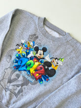 Load image into Gallery viewer, Disney sweatshirt (Age 7/8)

